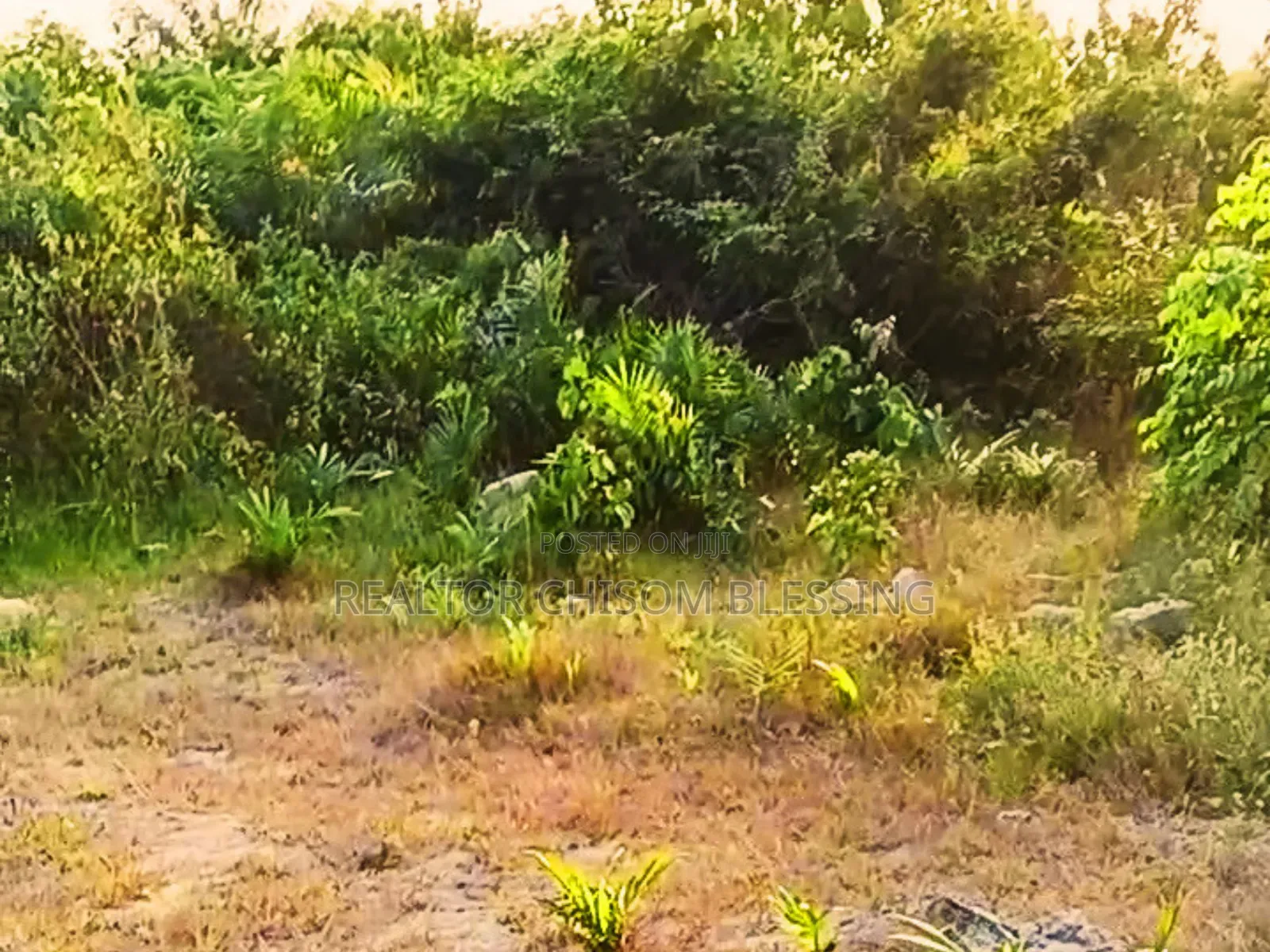Hot Prime Plot of Land (450sqm) Along Major Road in Mgbarakuma - ₦10m in Umuahia