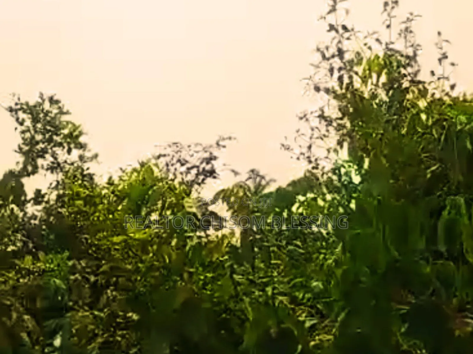 Hot Prime Plot of Land (450sqm) Along Major Road in Mgbarakuma - ₦10m in Umuahia