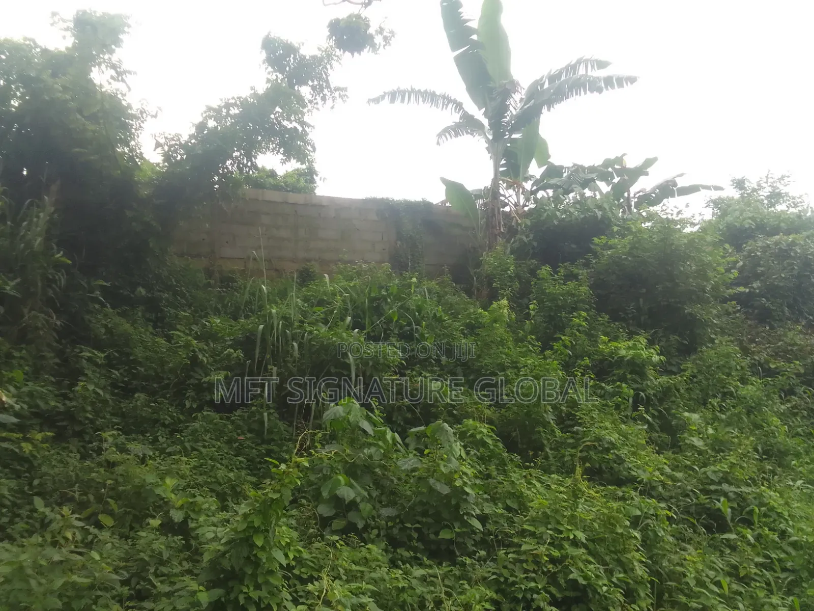 Very Suitable Land for Farming or Students Hostel. 2plots in Epe