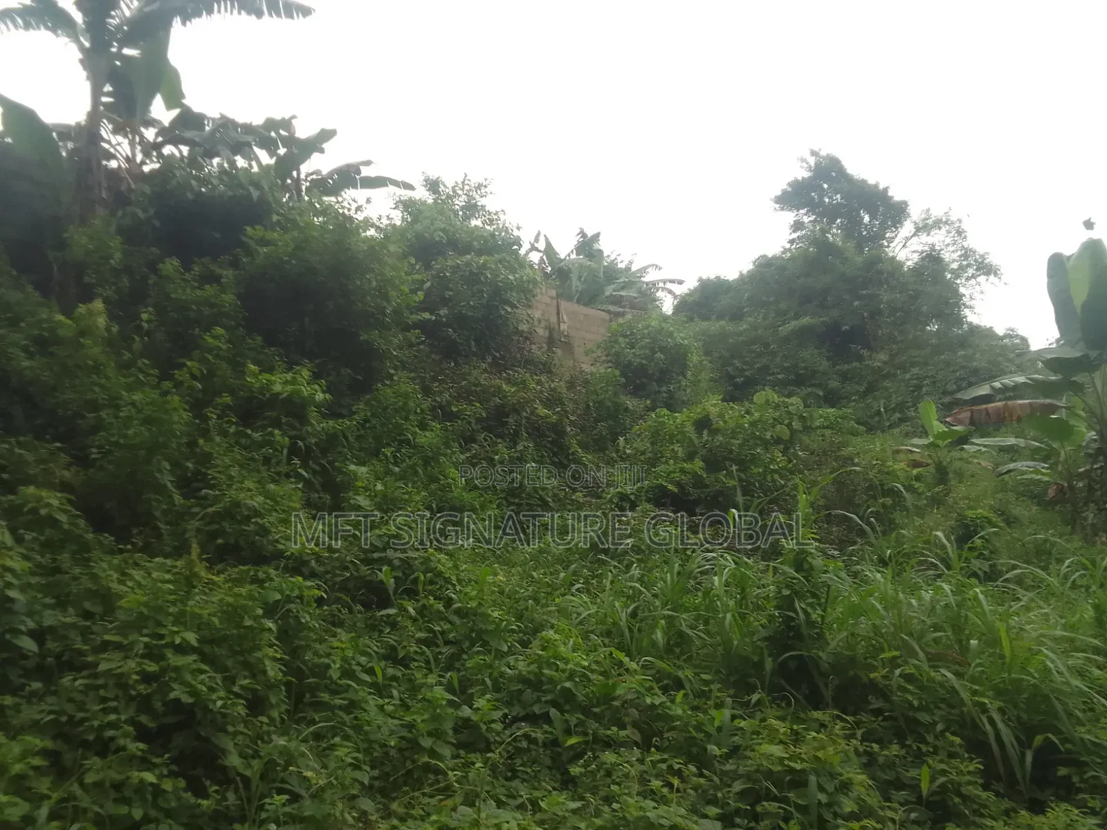 Very Suitable Land for Farming or Students Hostel. 2plots in Epe
