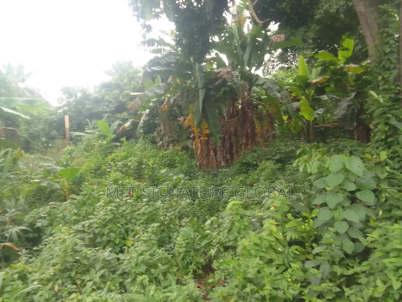 Very Suitable Land for Farming or Students Hostel. 2plots in Epe