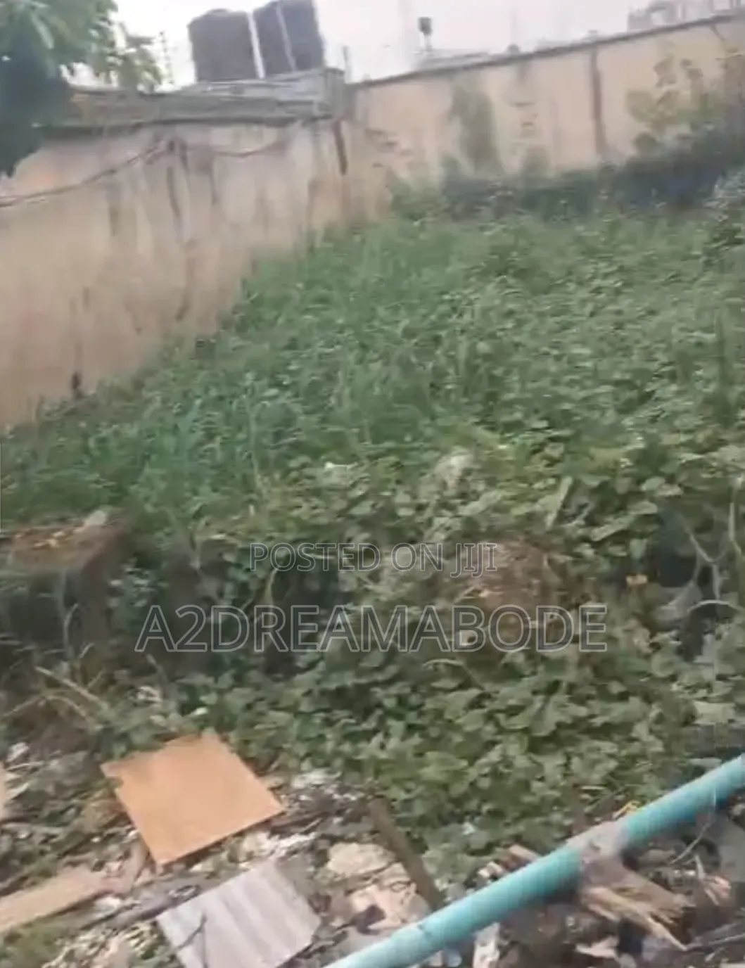 Executive Plot in Opebi