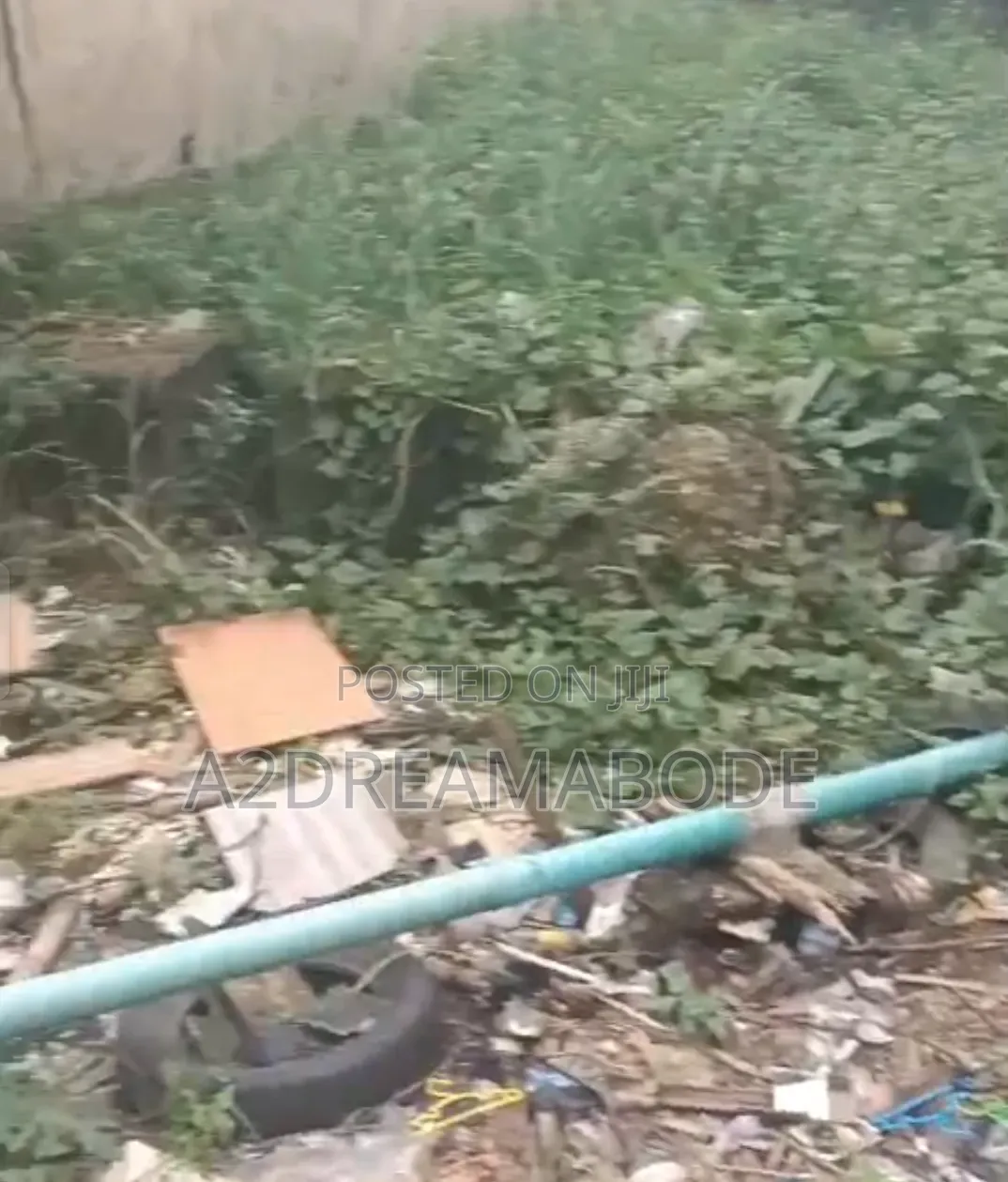 Executive Plot in Opebi