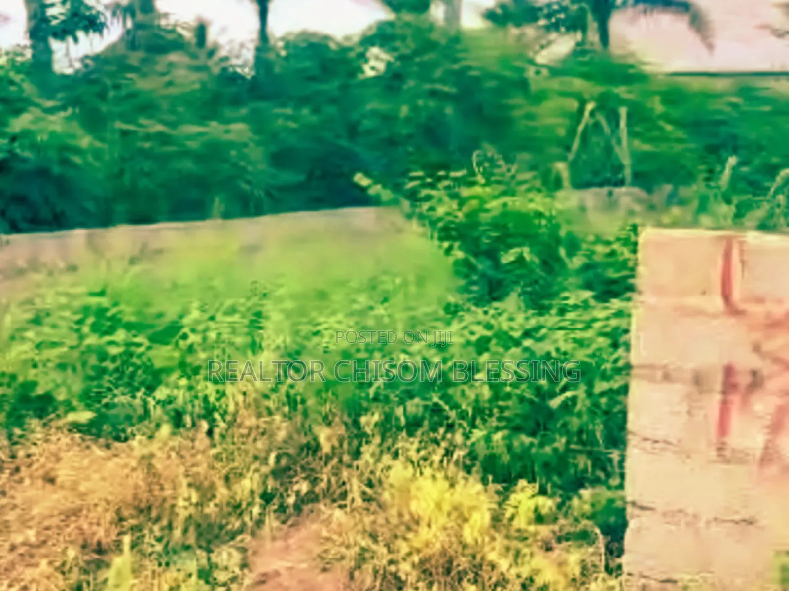 URGENT SALE: Prime 1 Full Plot in Lodu Estate, Umuahia! in Umuahia