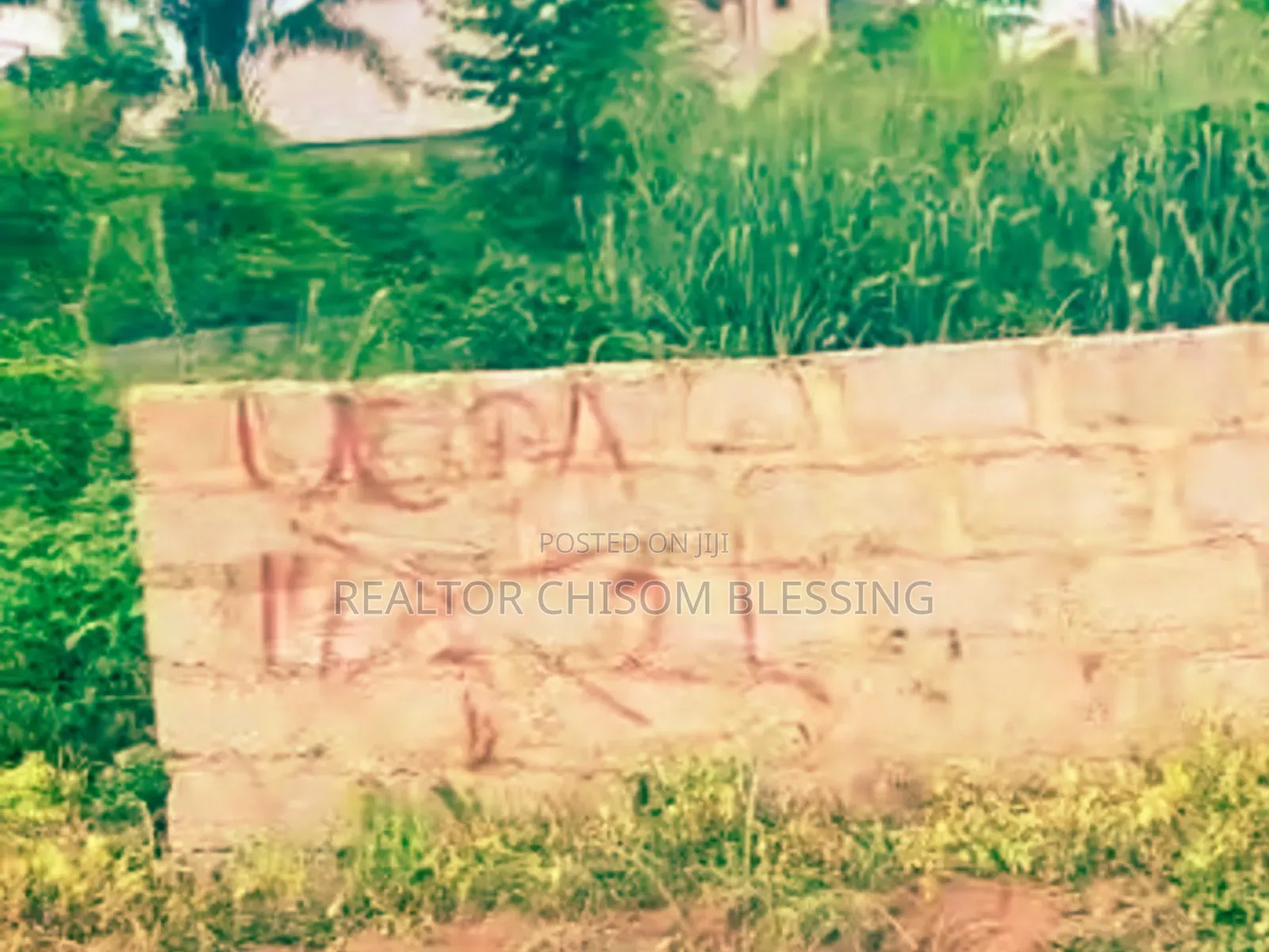 URGENT SALE: Prime 1 Full Plot in Lodu Estate, Umuahia! in Umuahia