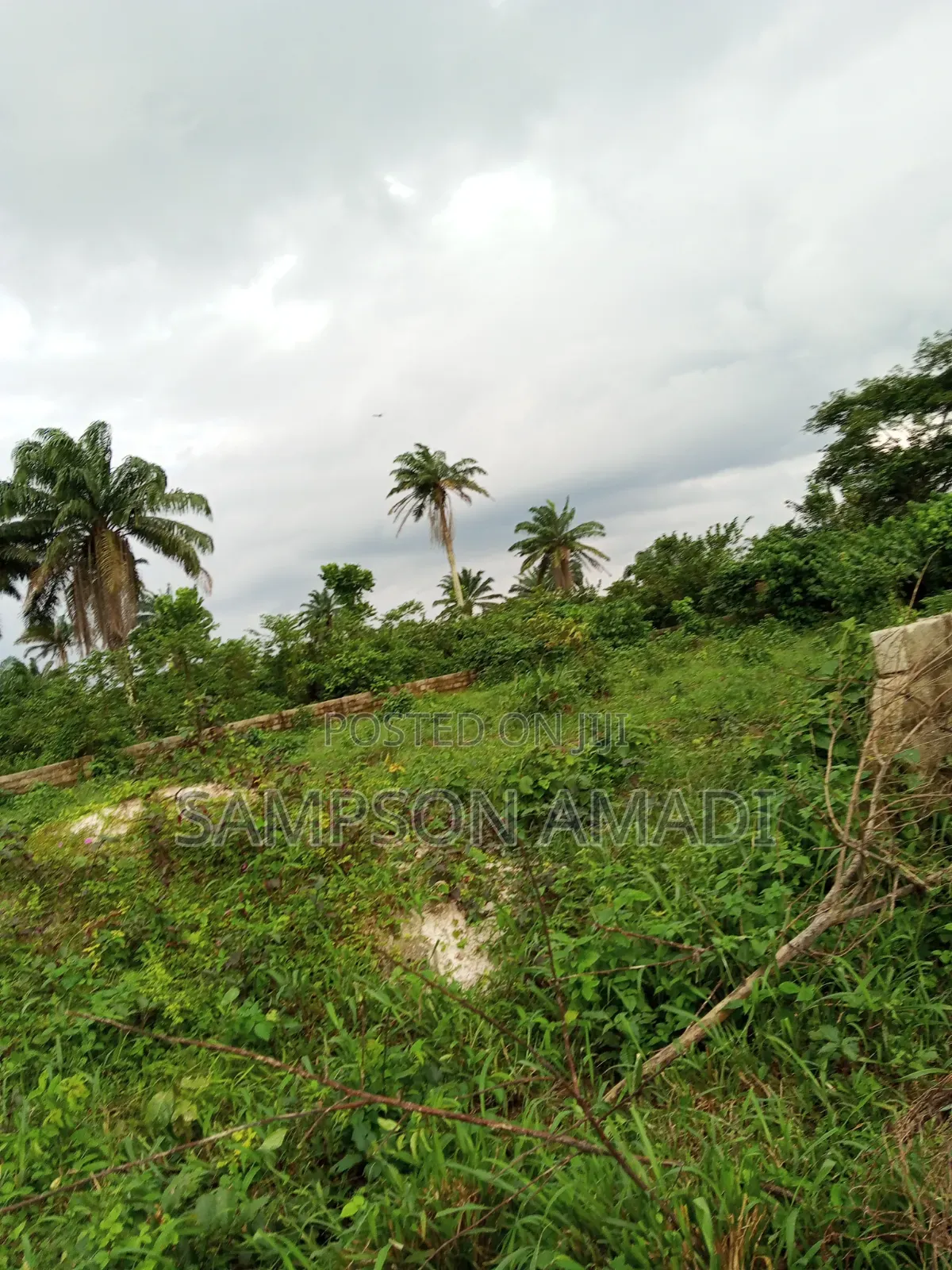 Complete Two Plot of Land for Sale at Omagwa . in Omagwa