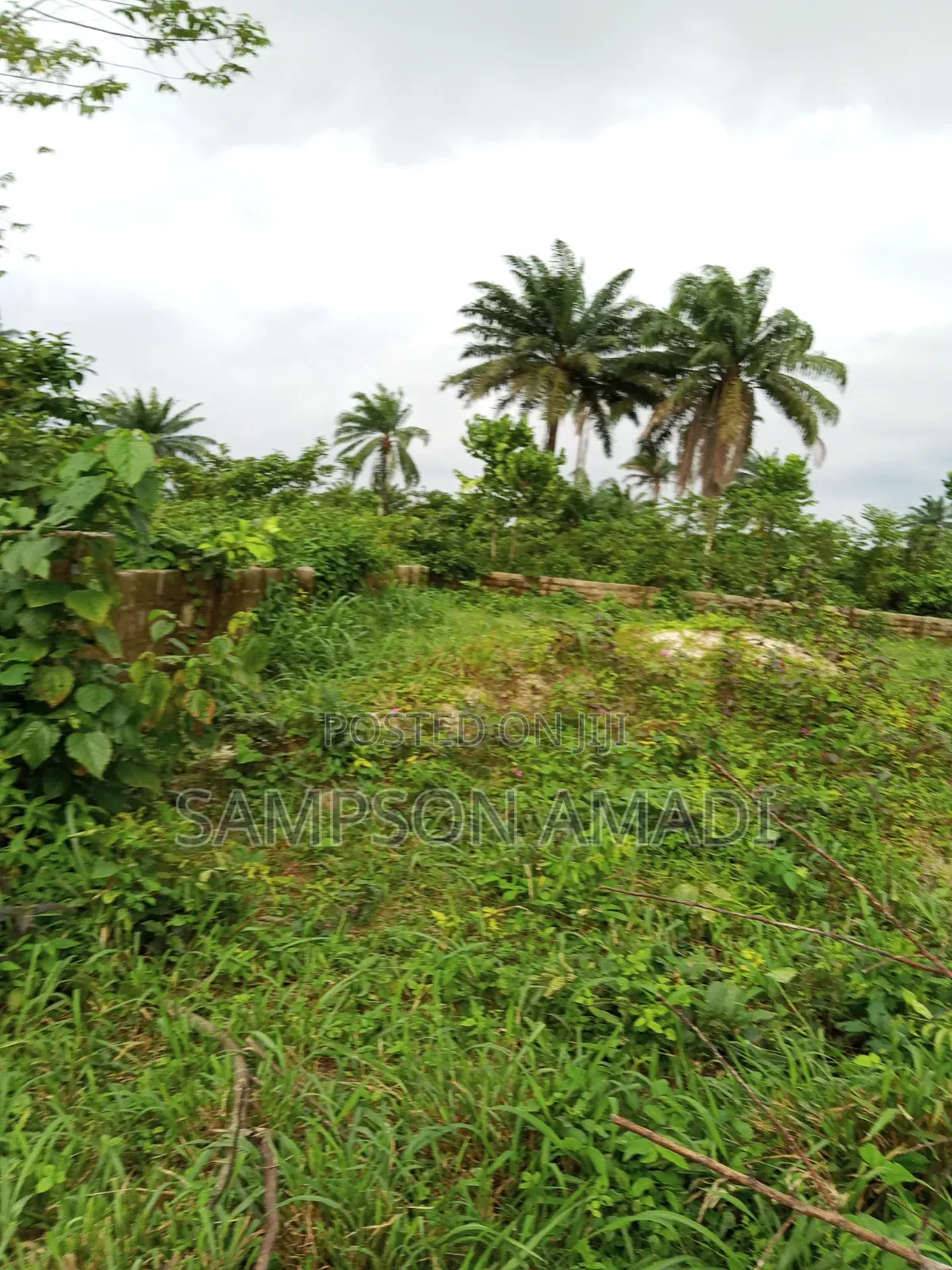 Complete Two Plot of Land for Sale at Omagwa . in Omagwa