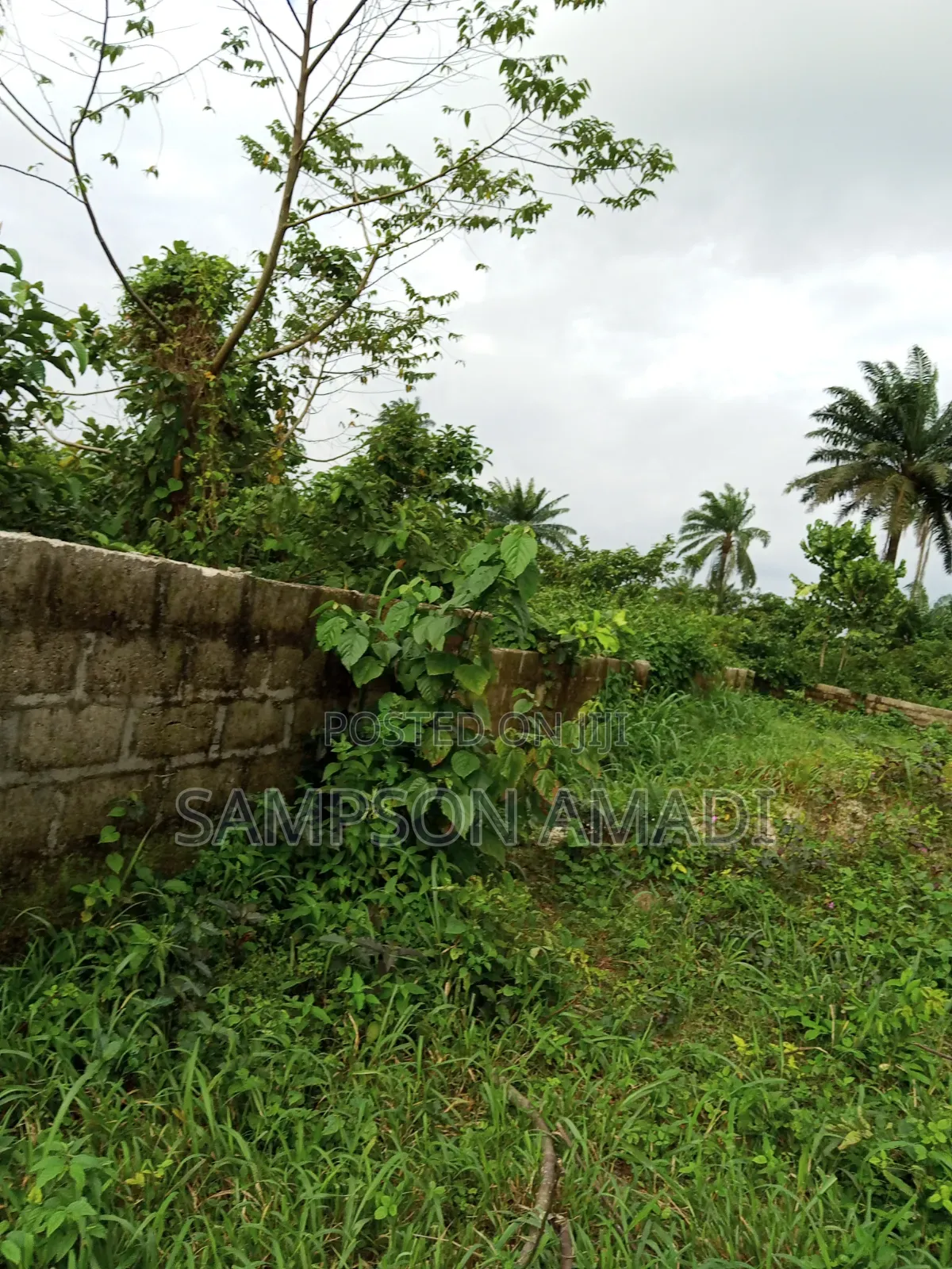 Complete Two Plot of Land for Sale at Omagwa . in Omagwa