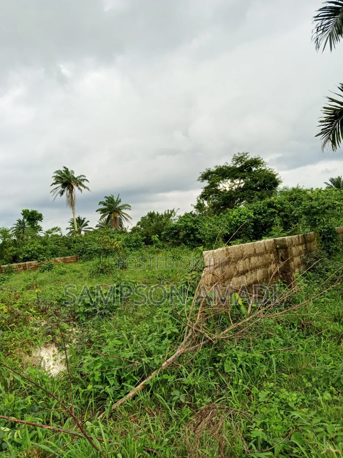 Complete Two Plot of Land for Sale at Omagwa . in Omagwa