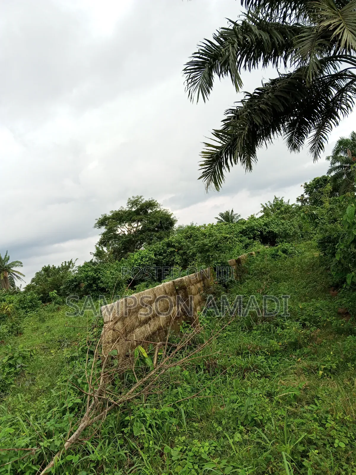 Complete Two Plot of Land for Sale at Omagwa . in Omagwa