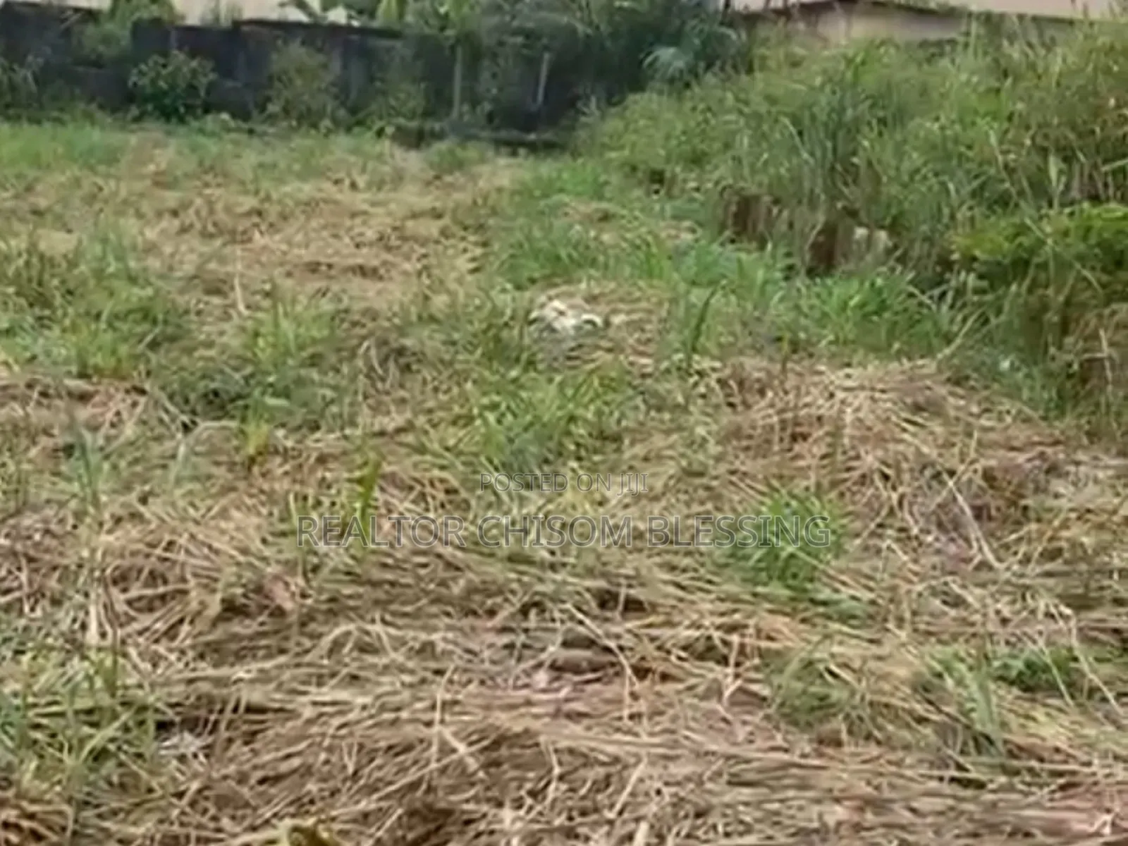 Prime Standard Two Plots for Sale at New Road Afara Umuahia in Umuahia