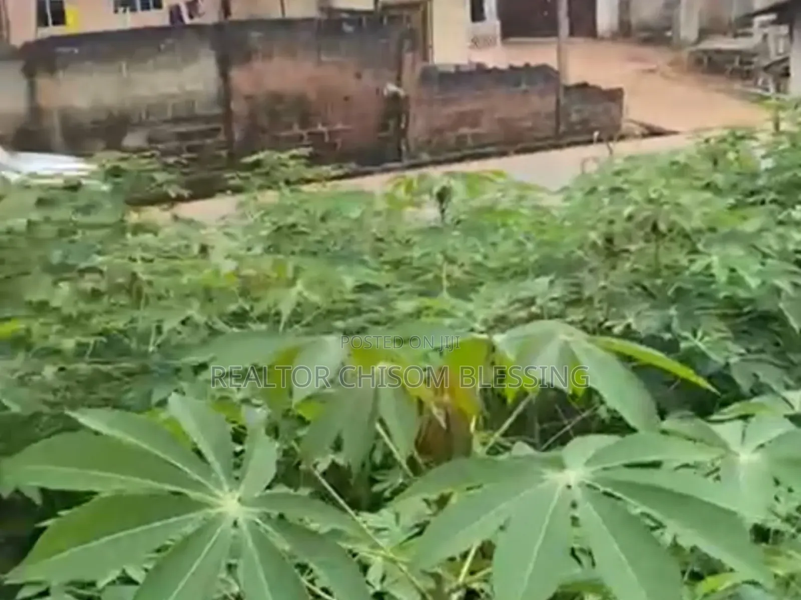 Prime Standard Two Plots for Sale at New Road Afara Umuahia in Umuahia