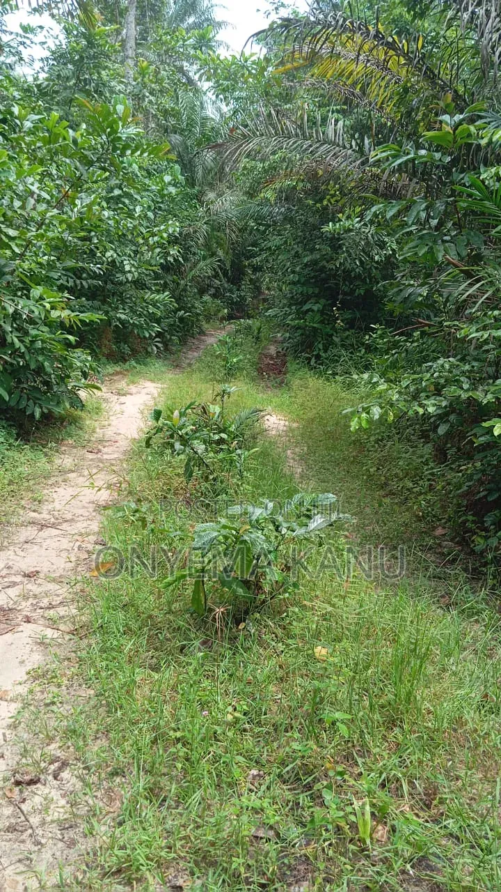 1,000 Plots for Industrial/Farm Use. in Ukwa