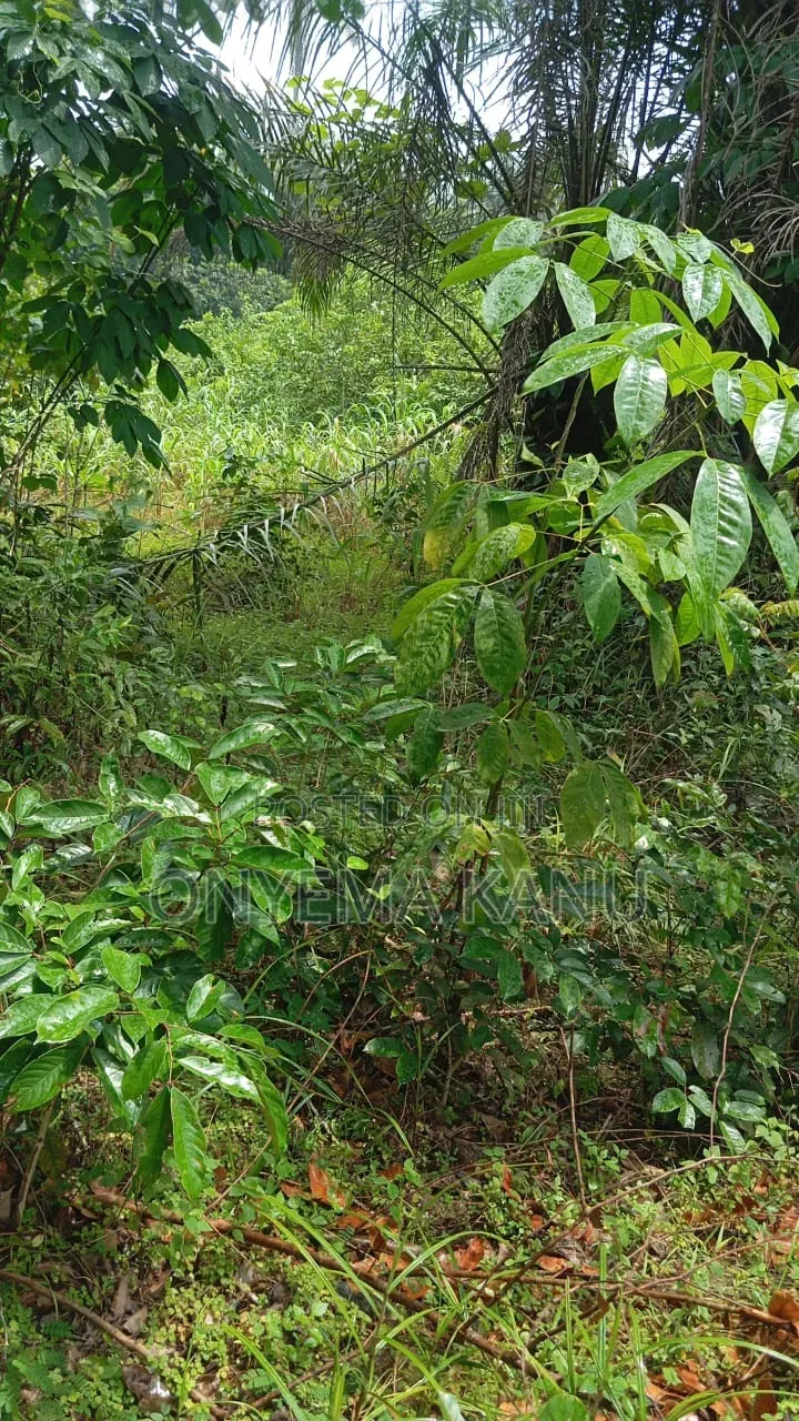 1,000 Plots for Industrial/Farm Use. in Ukwa