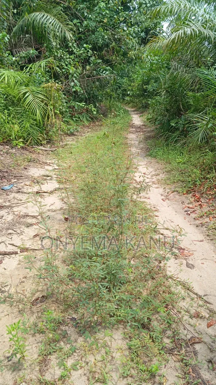 1,000 Plots for Industrial/Farm Use. in Ukwa