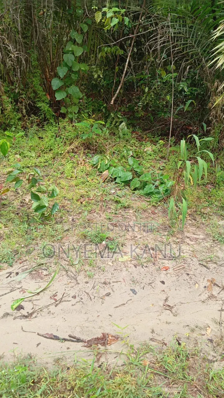 1,000 Plots for Industrial/Farm Use. in Ukwa