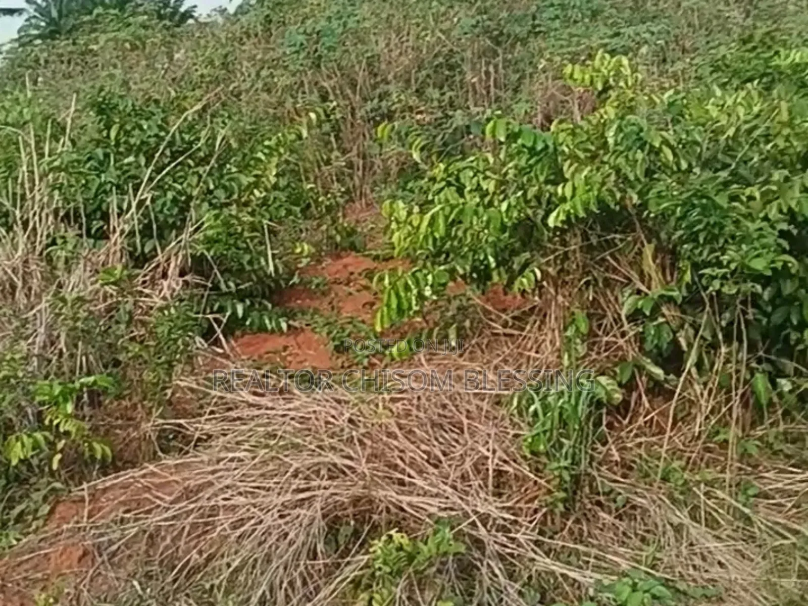 456sqm Land for Sale at Amuba Housing Estate, Umuahia in Umuahia