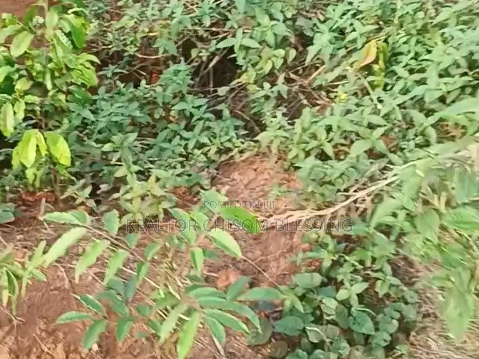 456sqm Land for Sale at Amuba Housing Estate, Umuahia in Umuahia