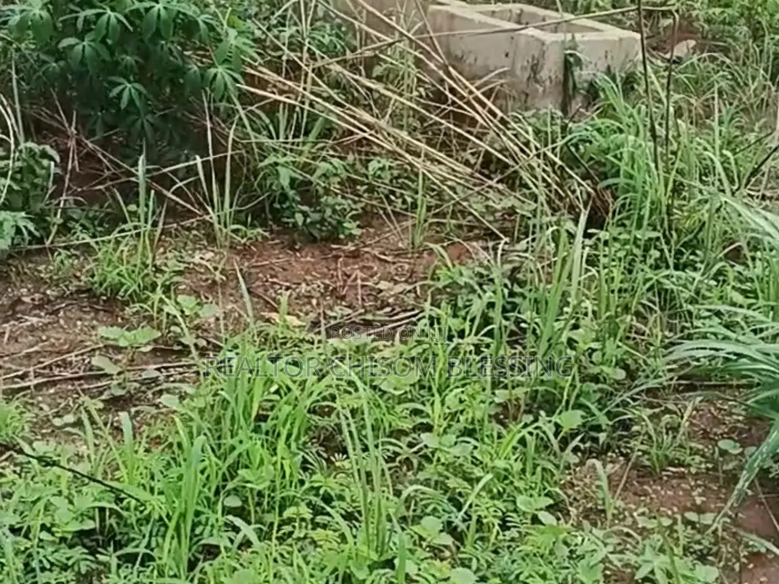 Hot Deal: 500sqm Prime Land in Amuba Housing Estate, Umuahia in Umuahia