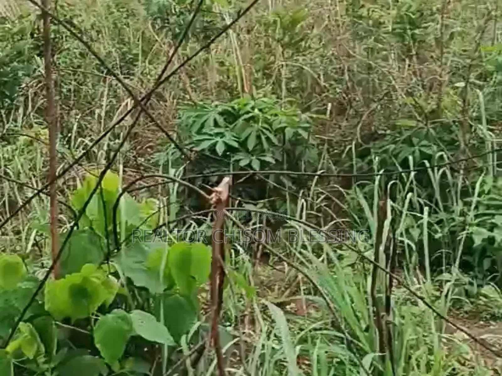 Hot Deal: 500sqm Prime Land in Amuba Housing Estate, Umuahia in Umuahia