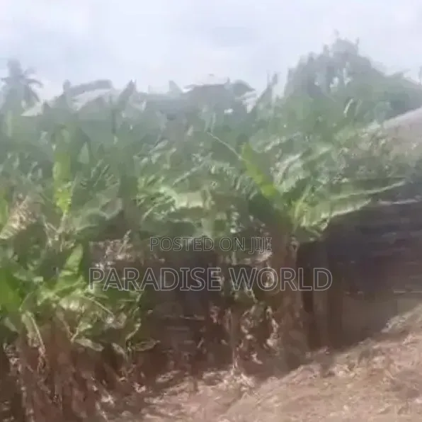 Landed Property and House School Class Rooms in Obafemi-Owode