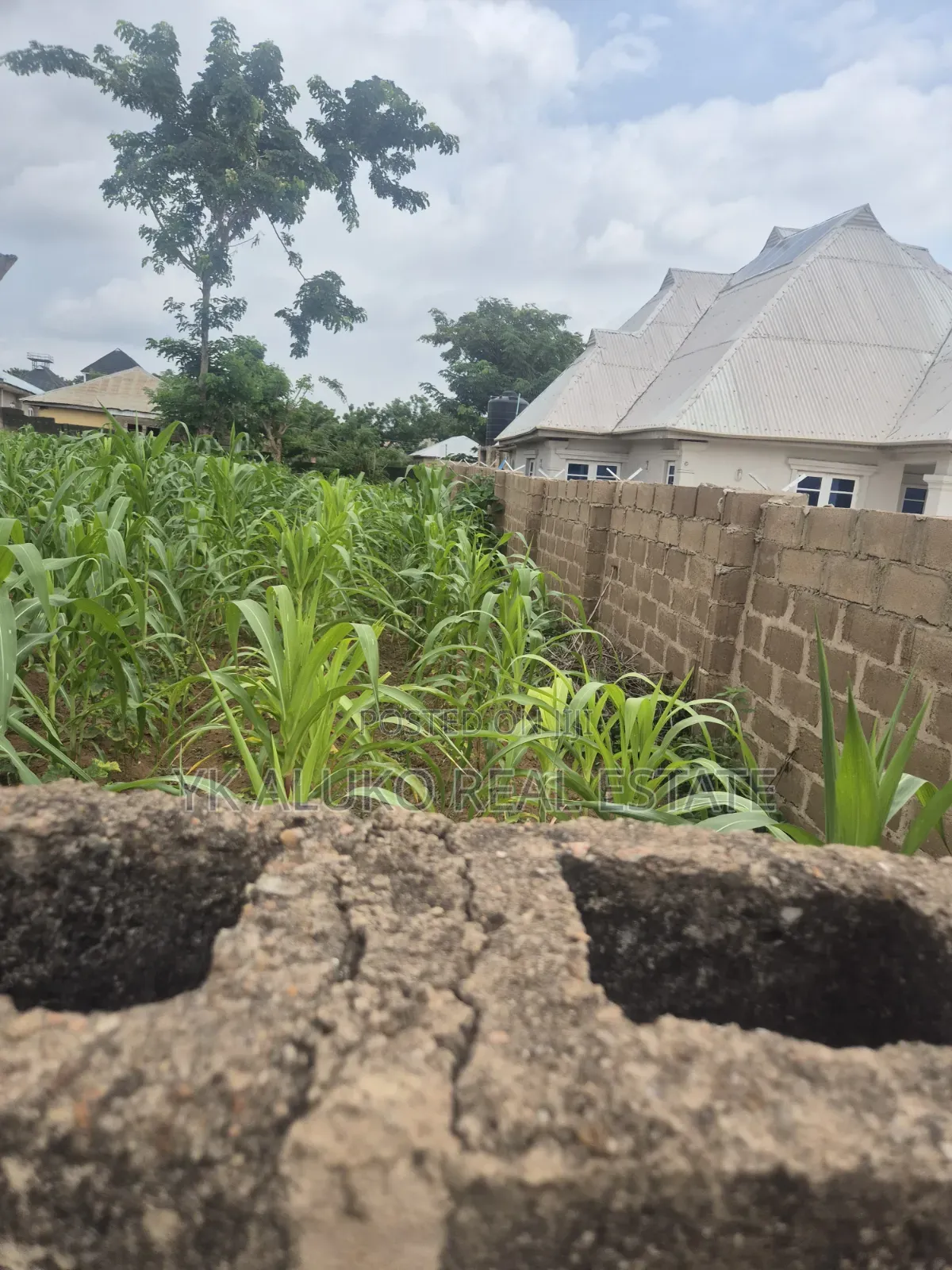 Deed of Transfer in Ilorin West