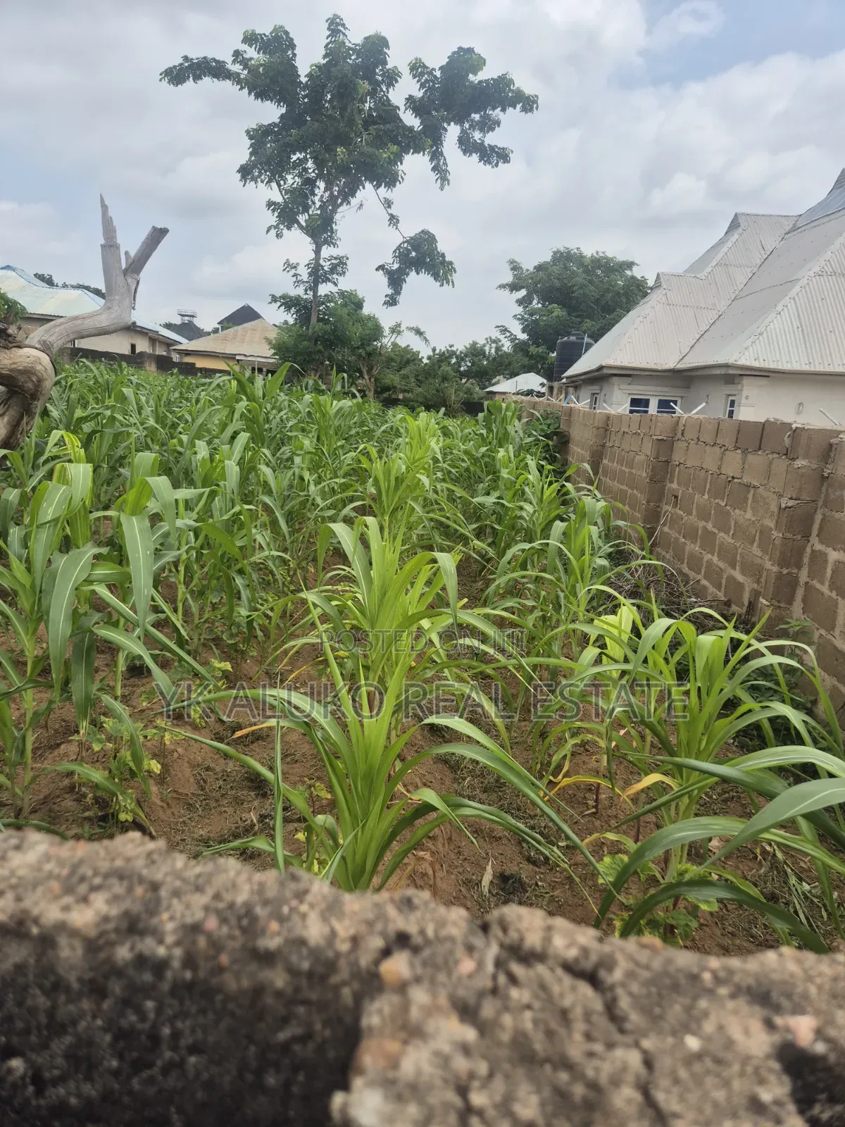 Deed of Transfer in Ilorin West
