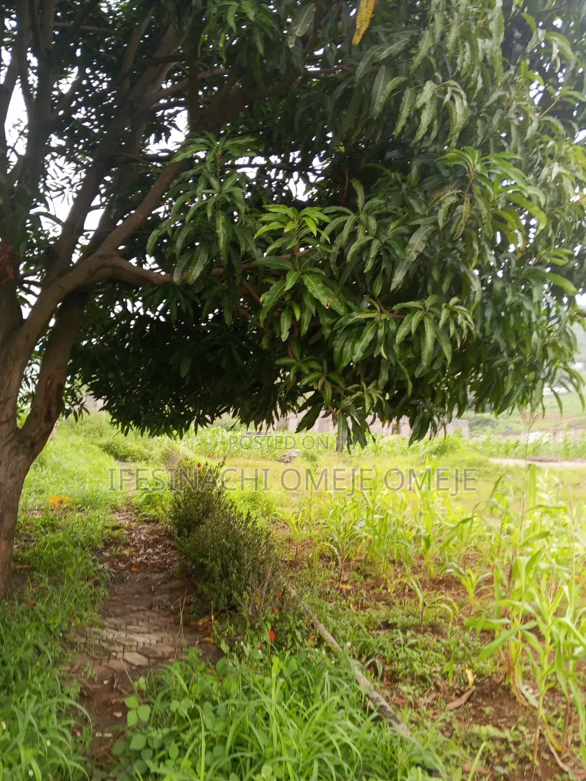 Commercial in Kubwa
