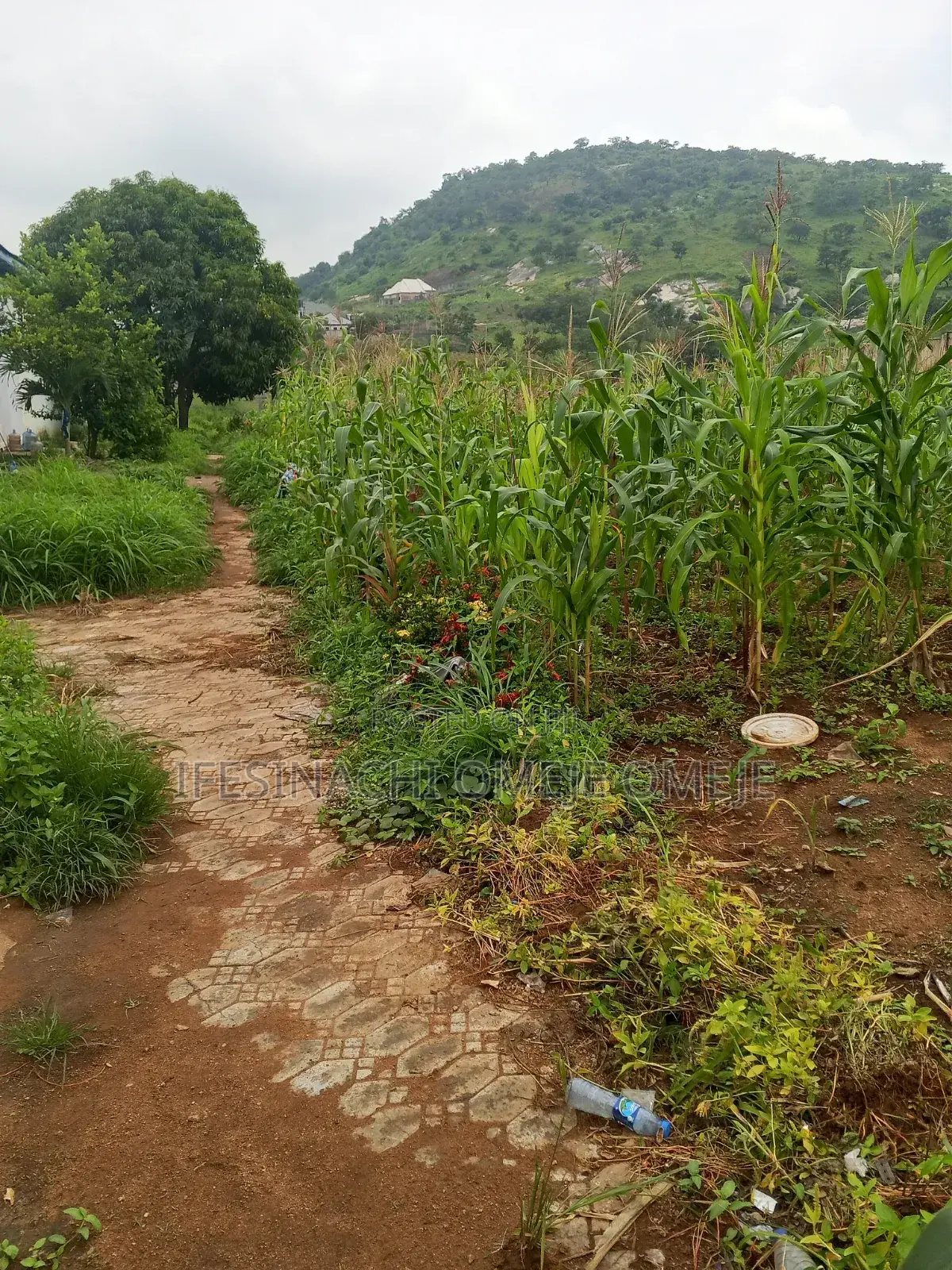 Commercial in Kubwa