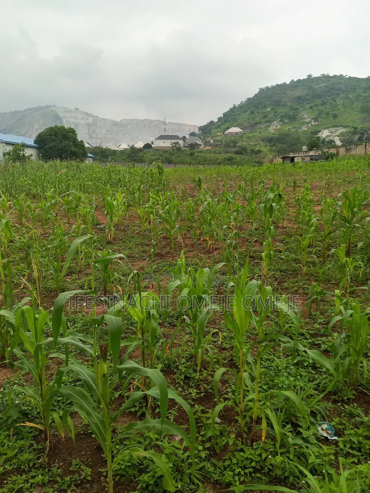 Commercial in Kubwa