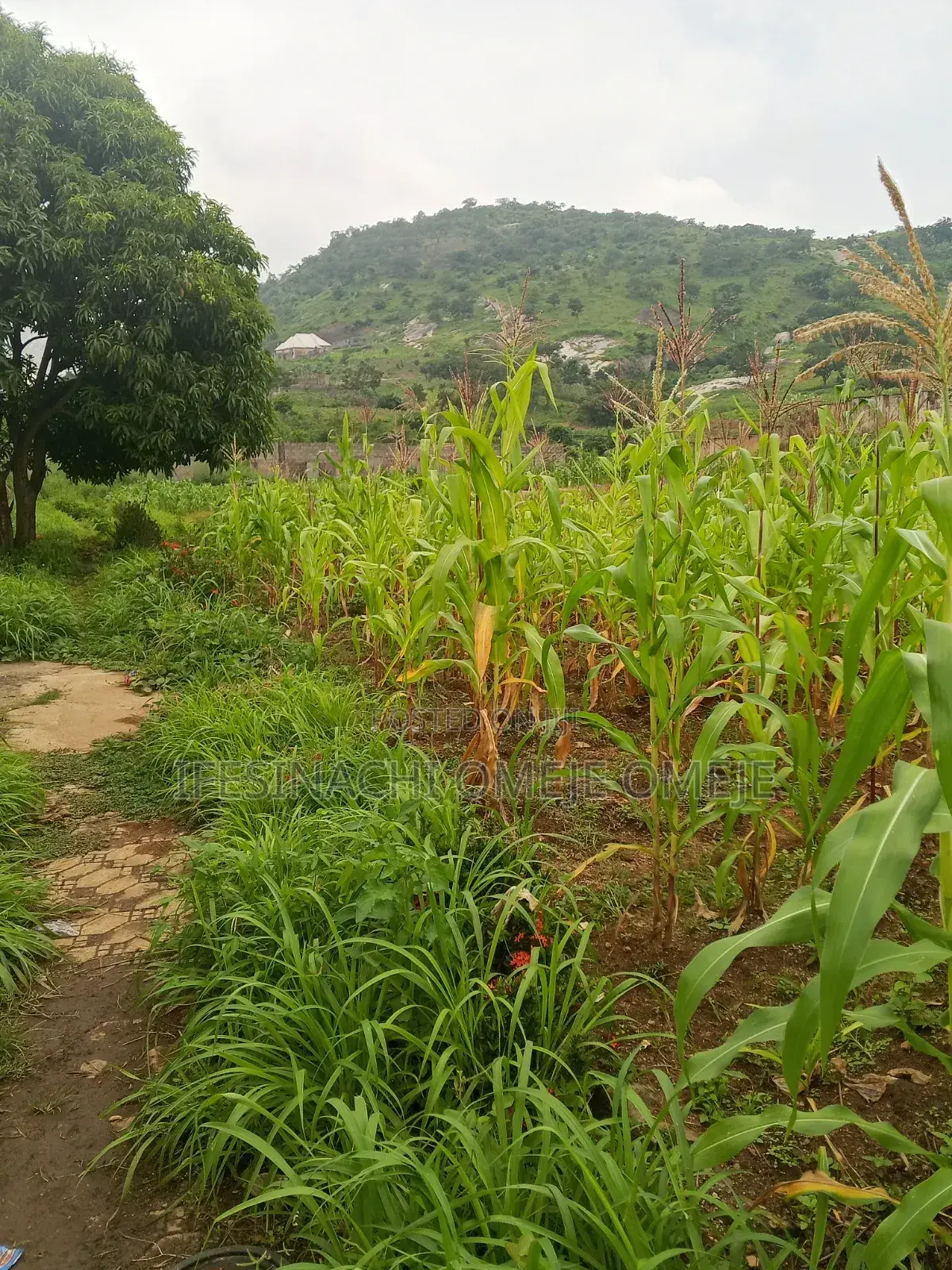 Commercial in Kubwa