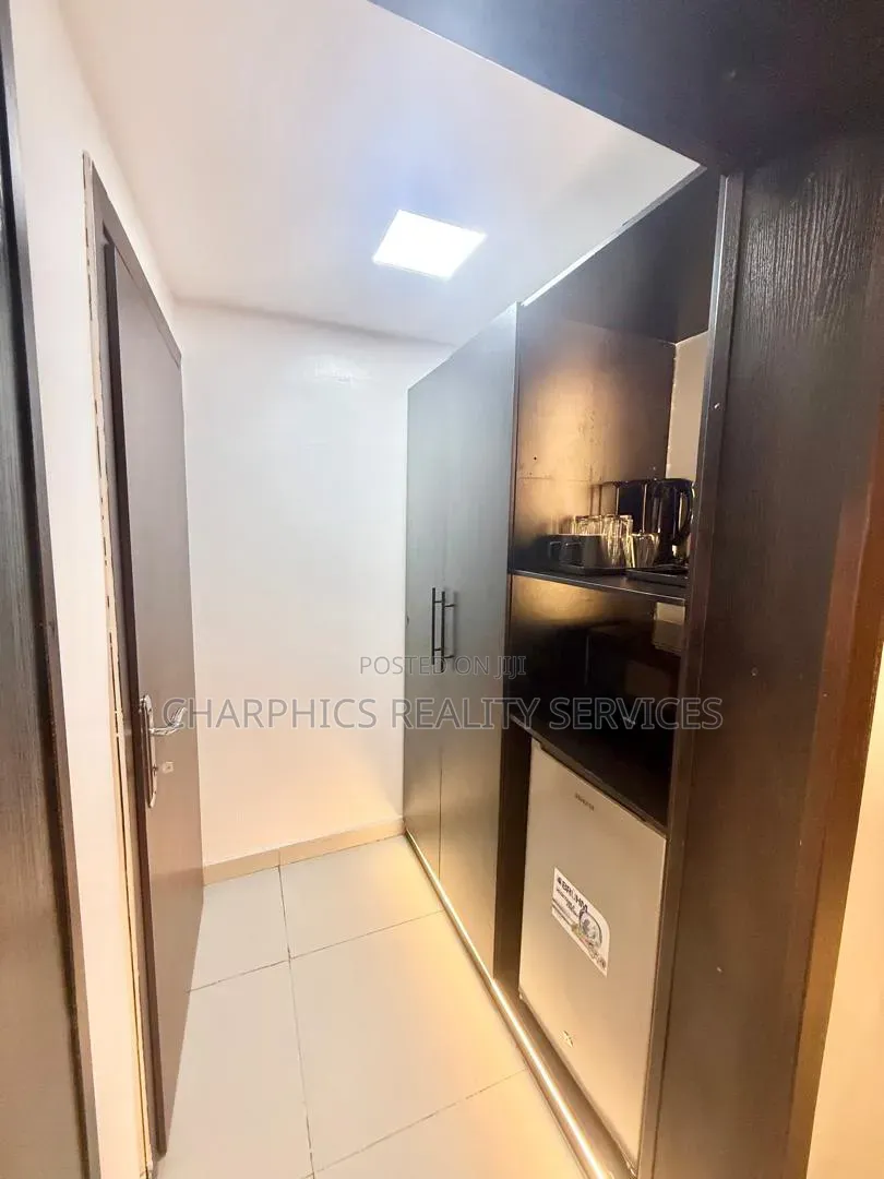 Furnished Mini Flat in Ikoyi S.W for rent in Ikoyi S.W
