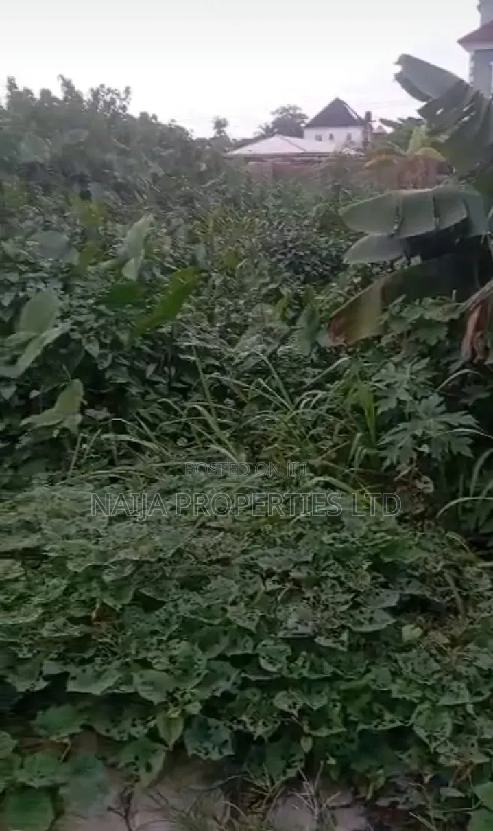 Full Plot of Land at Goodnews Estate, Sangotedo, Ajah for Sale in Sangotedo