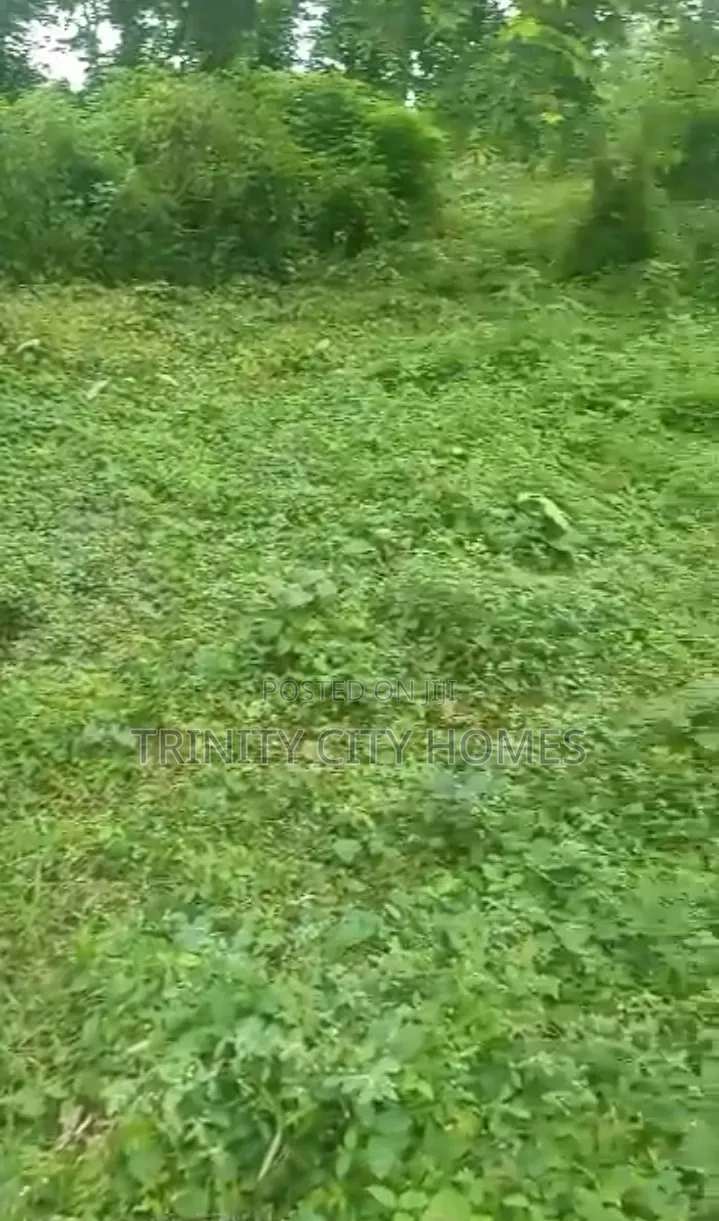 2600sqm of Land at Moremi Estate Ile-Ife in Ife