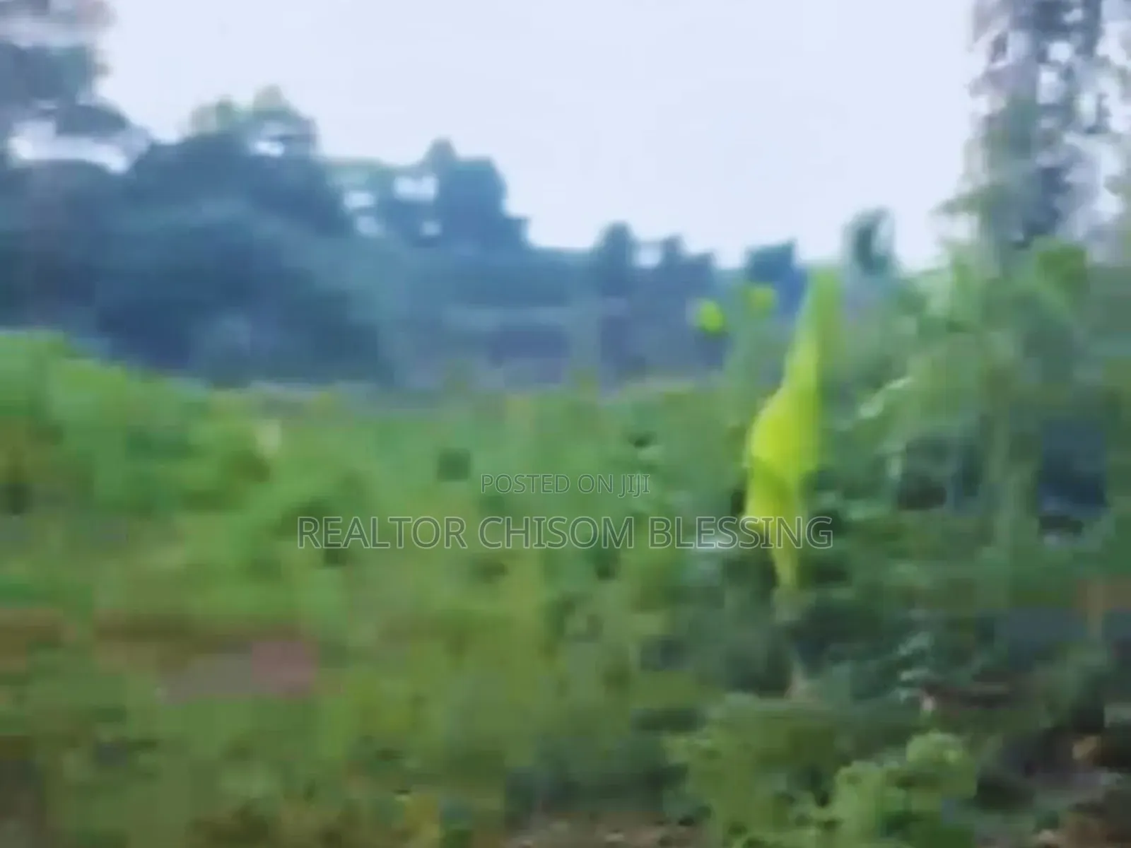 Massive 100 Plots for Sale in Ajata Ibeku Umuahia in Umuahia