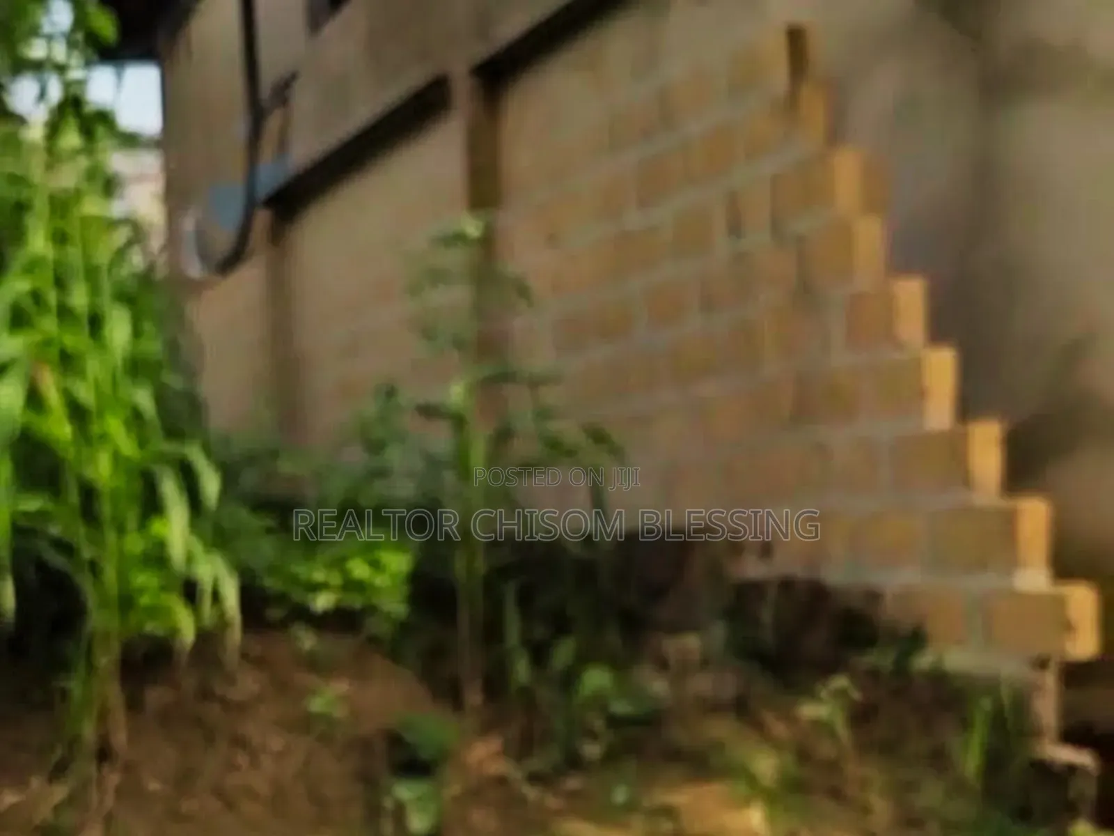 A 567sqm Land for Sale at Umueze Ibeku Umuahia Abia in Umuahia