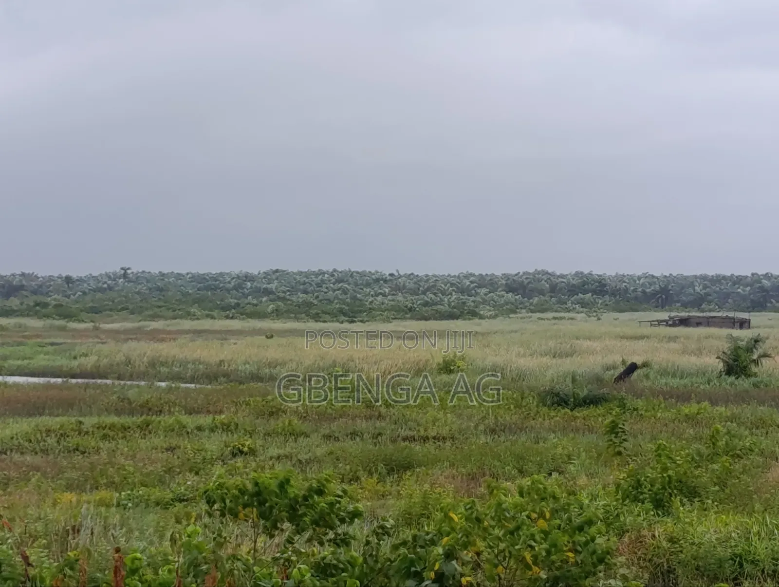 Commercial Plots Facing Lekki Coastal Road Lagos for Sale in Magbon-Alade