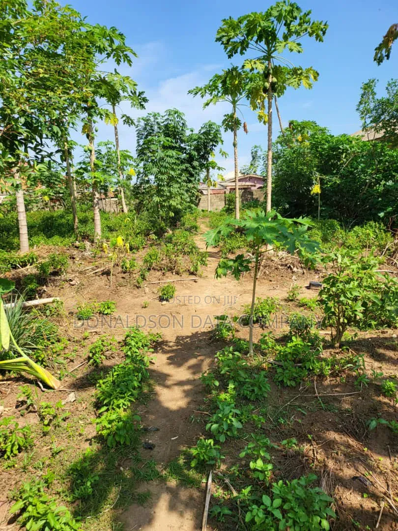 82Acres of Agricultural Farm for Sale in Ado-Odo/Ota