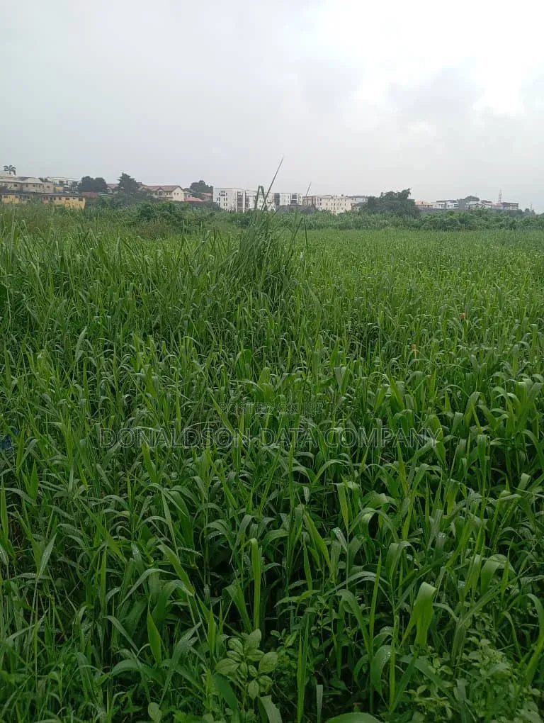 82Acres of Agricultural Farm for Sale in Ado-Odo/Ota