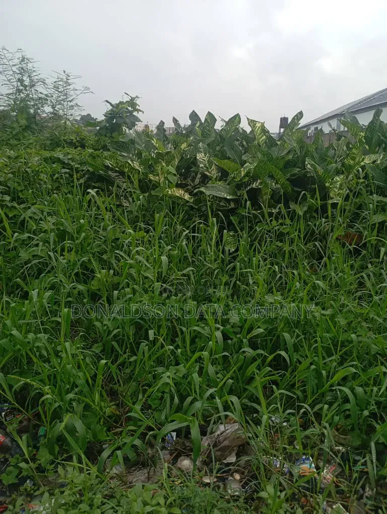 82Acres of Agricultural Farm for Sale in Ado-Odo/Ota