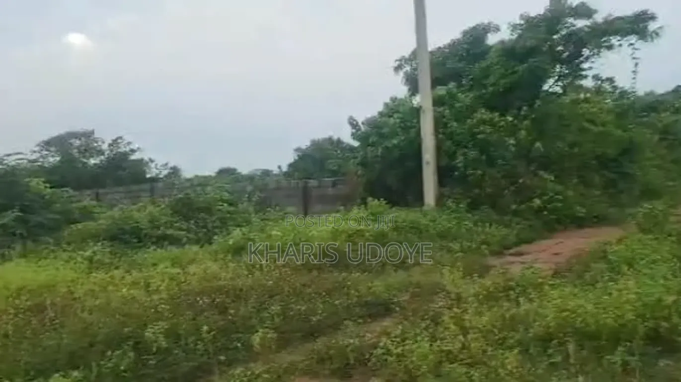 Affordable Full Plot in Ikorodu for Sale in Gberigbe