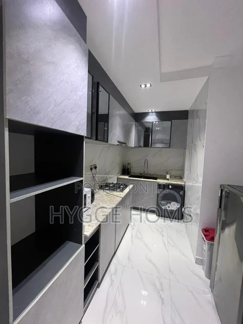 Furnished Mini Flat in Banana Island Estate for rent in Banana Island