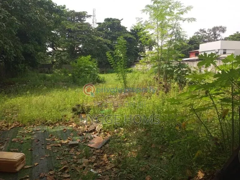 3394sqm Directly on Adeola Odeku Victoria Island in Adeola Odeku