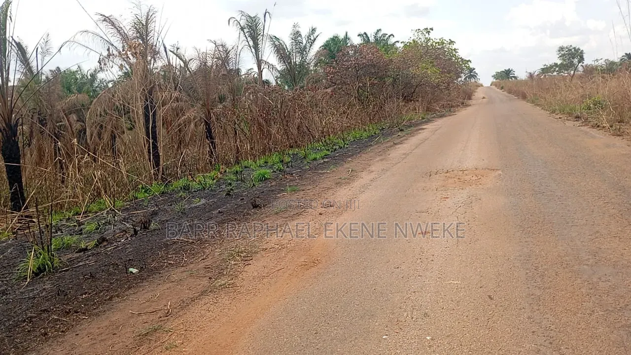 40 Plots of Land for Sale in Aghamelu