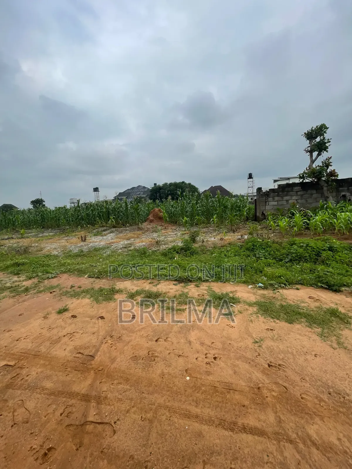 4,000 SQM of Residential Land in Jabi for Sale in Jabi