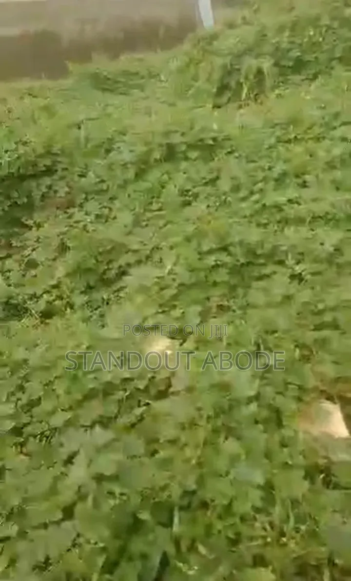Fenced and Gated Full Plot Facing a Busy Road for Sale in Abaranje