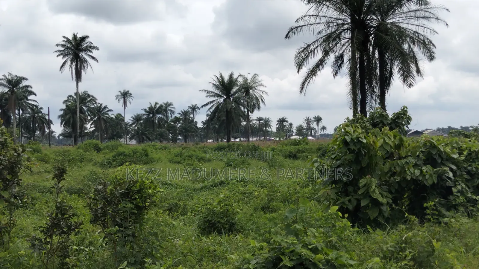 For Sale : 950 SQMTRS at Heliu Estate Enugu in Enugu