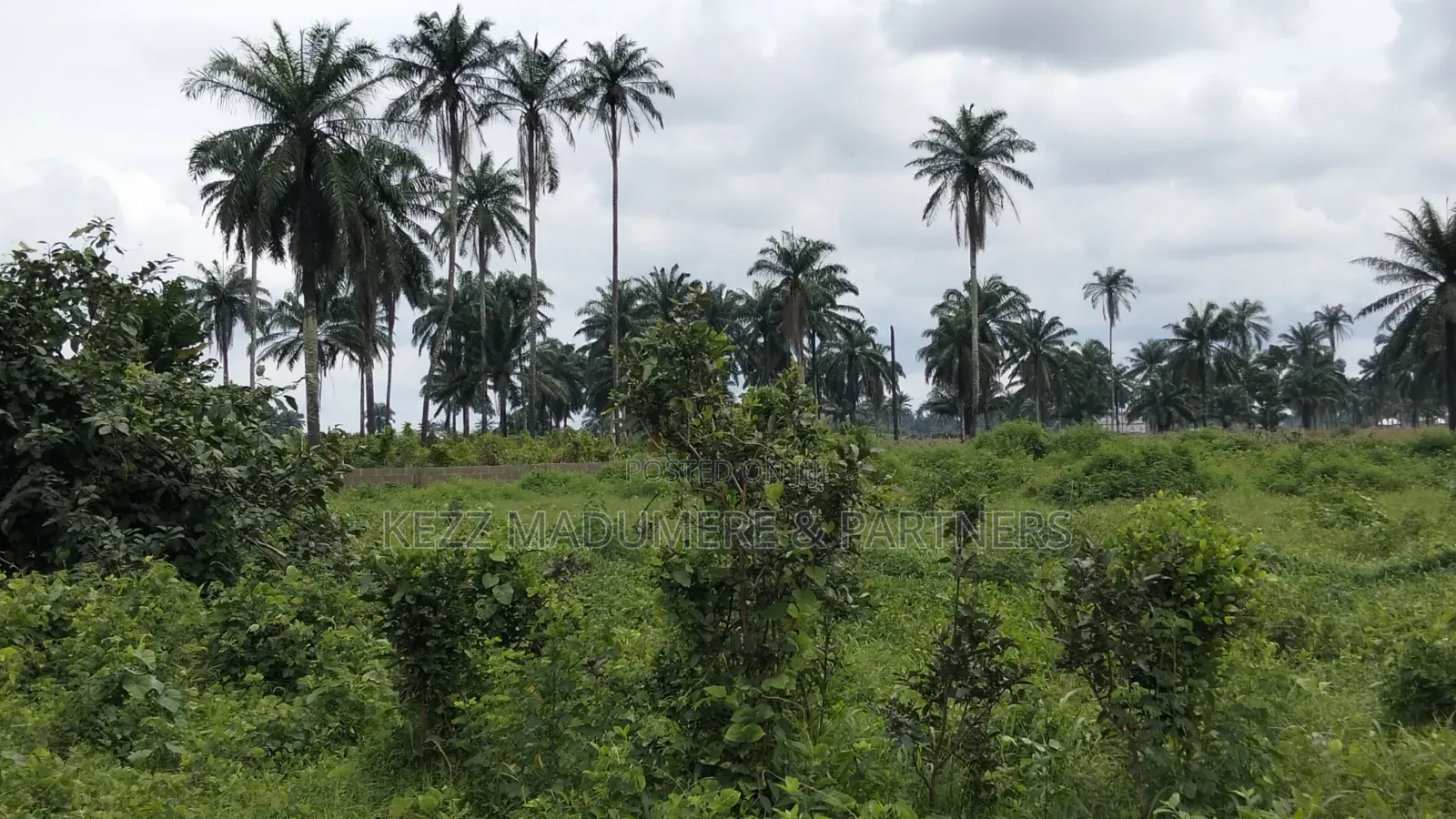For Sale : 950 SQMTRS at Heliu Estate Enugu in Enugu