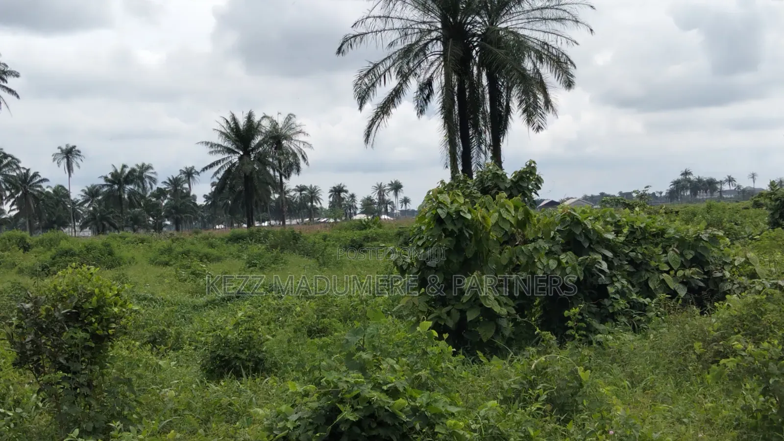For Sale : 950 SQMTRS at Heliu Estate Enugu in Enugu