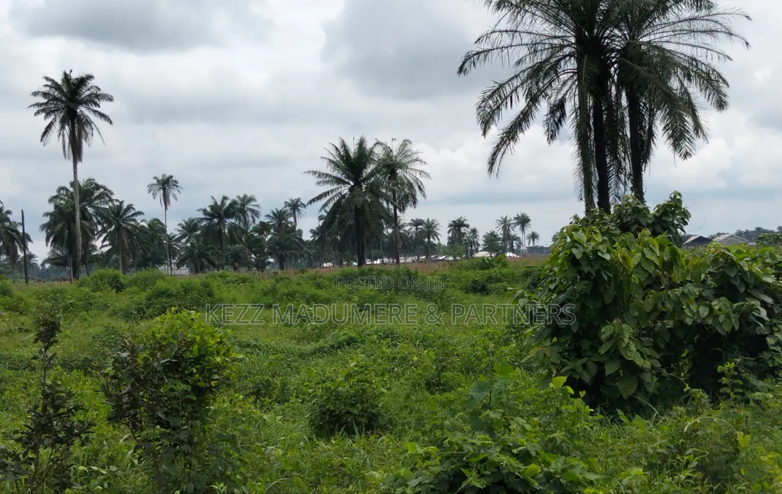 For Sale : 950 SQMTRS at Heliu Estate Enugu in Enugu
